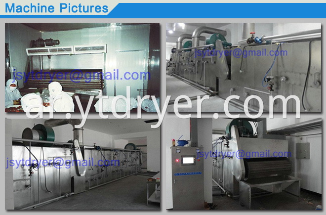 Soy Protein Drying Machine